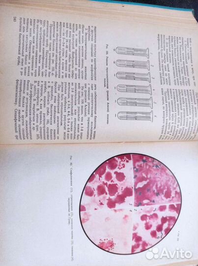 Пяткин К. Д. Микробиология с вирусологией и иммуно