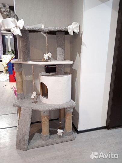 Домик когтеточка для кошки