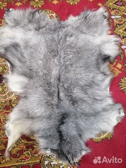 Меховые ковры. Шкуры козы, крс, овчины выделка
