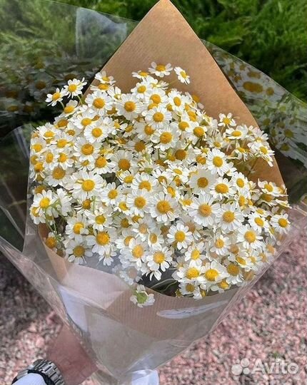 Букеты. Доставка ромашек