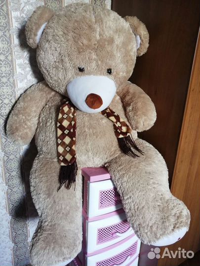 Плюшевые медведи