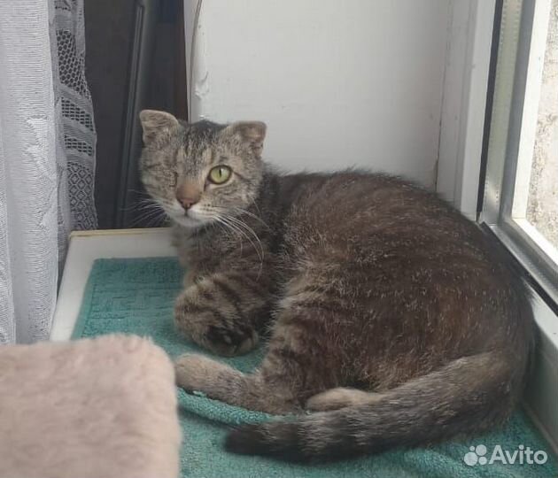 Ищет самую добрую маму особенный малыш Яша