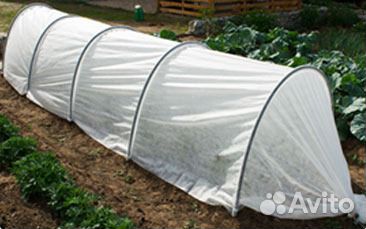 Парник тоннельного типа