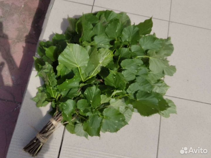 Липовые веники