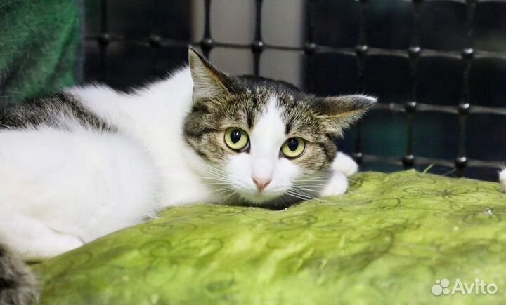 Лея ищет маму и папу