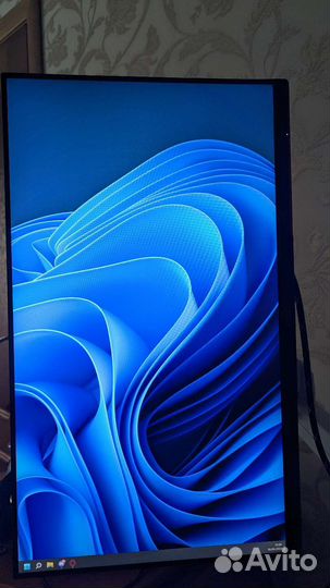 Монитор 240 гц