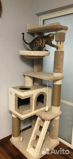 Когтеточка для кошек