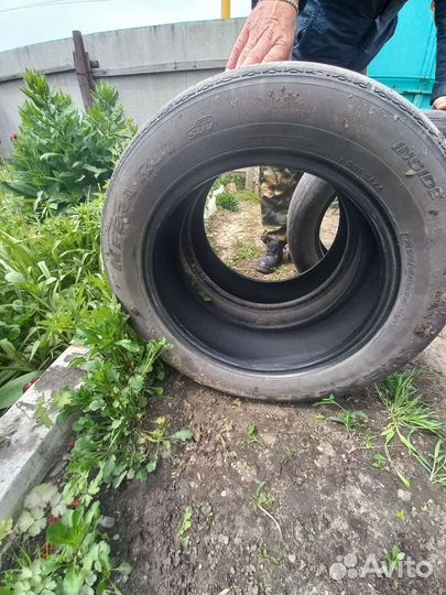 Nexen Winguard WinSpike WS62 SUV 215/60 R17 96H