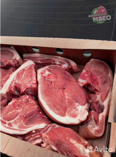 Мясо свинина