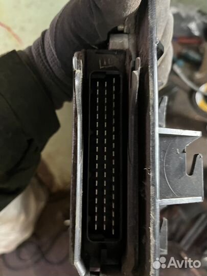 Эбу январь 5.1