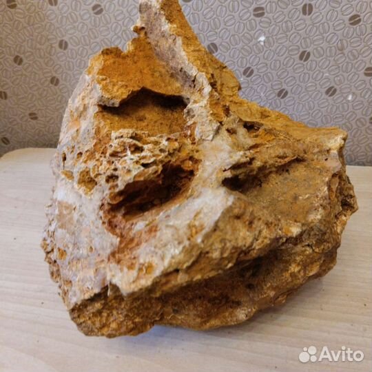 Декор для аквариума