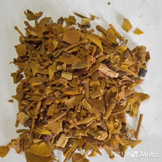 Омела белая резаная Россия