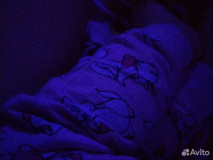 Рамы и стекла отдам