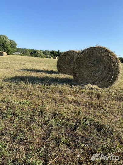 Сено в тюках