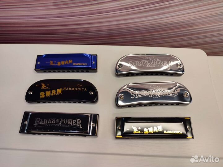 Губные гармошки в ассортименте