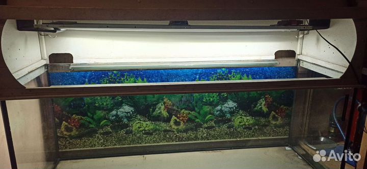 Аквариум