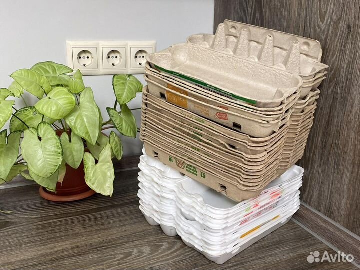 Яичные лотки картон пенопласт