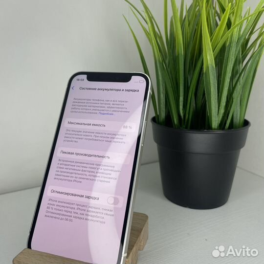 iPhone 12 mini, 256 ГБ