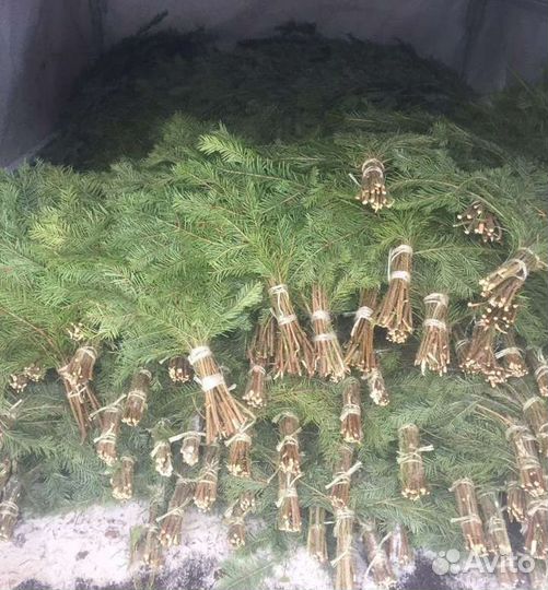 Пихтовые веники, веники для бани