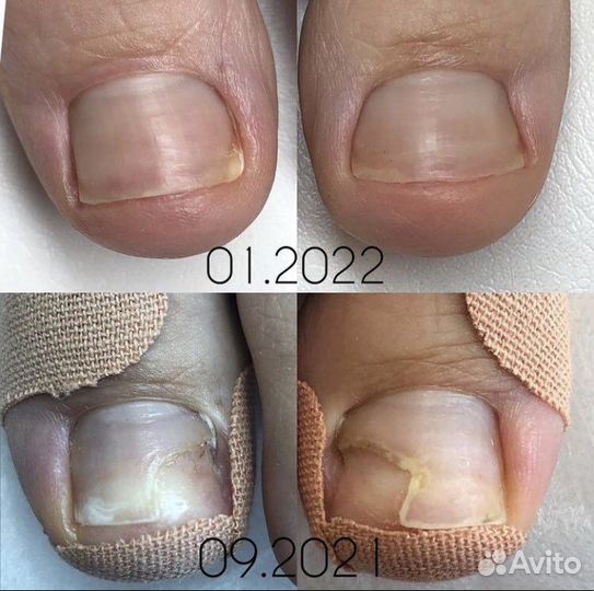 Подолог Балашиха