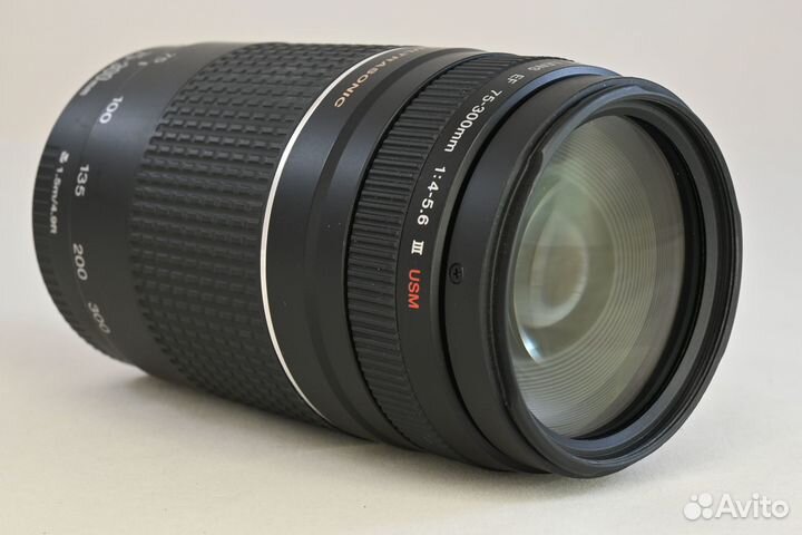 Canon EF 75-300mm 4.0-5.6 III USM