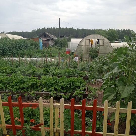 Дача 25 м² на участке 8 сот.