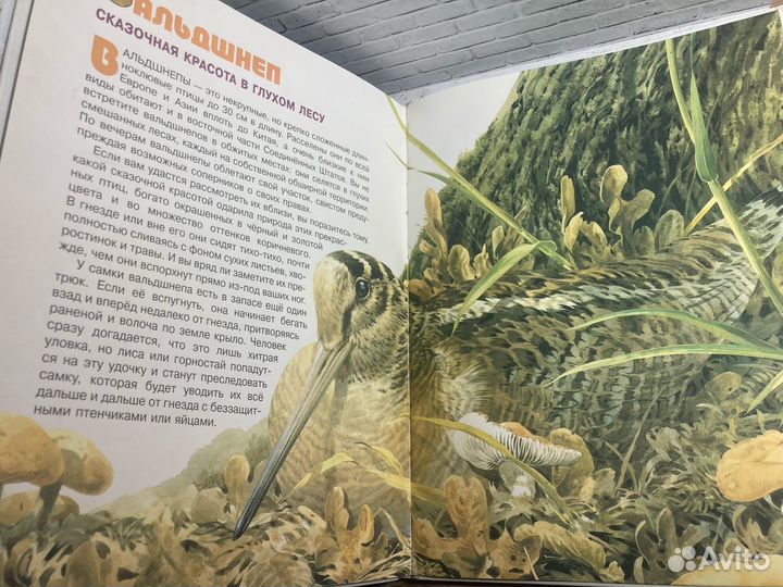 Книга «Тайны живого мира»