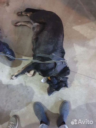 Само спокойствие - вулкан