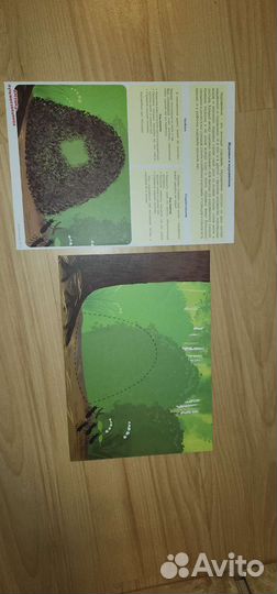 Развивающие комплекты умница