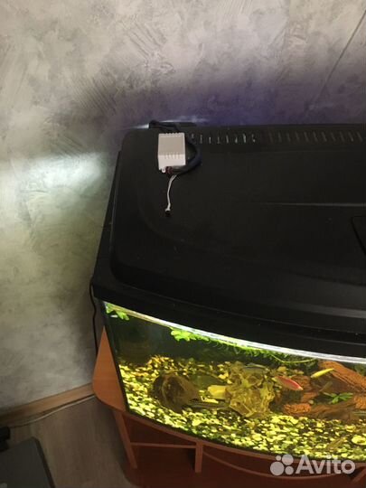 Аквариум Aquael панорамный 115 л