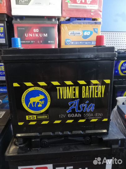 Аккумуляторы Тюмень 60 -110ач Бесплатная доставка