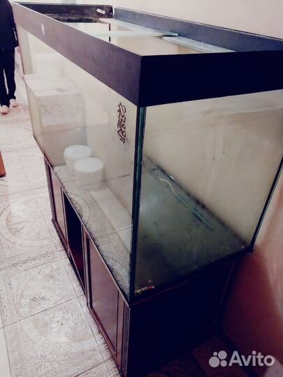 Аквариум террариум