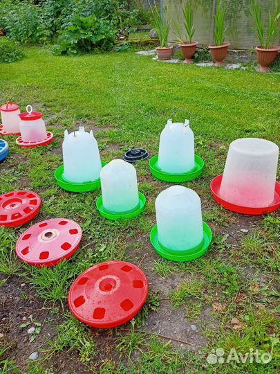 Кормушки и поилки для кур