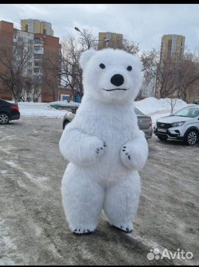Белый мишка поздравление
