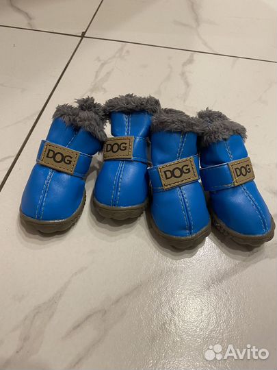 Обувь для собак