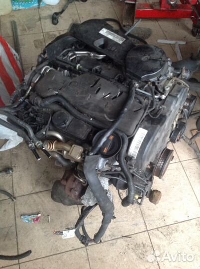 Audi Q5, A4, A5, A6, cag 2.0d