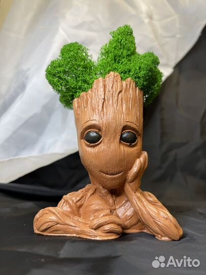 Грут с стабилизированным мхом