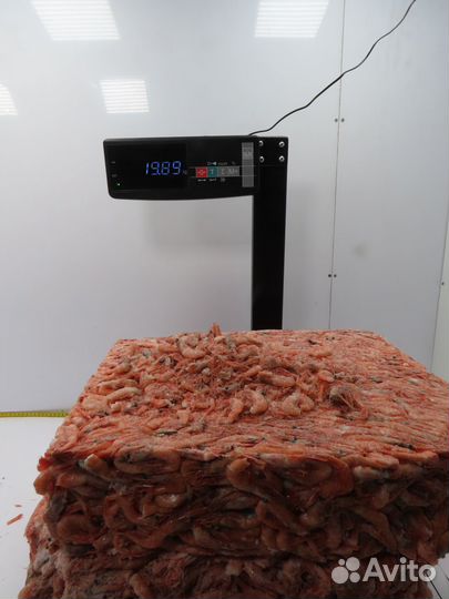 Креветка Северная с/м 230+