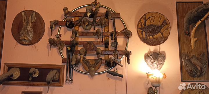 Набор чучел для оформления в охотничьем стиле