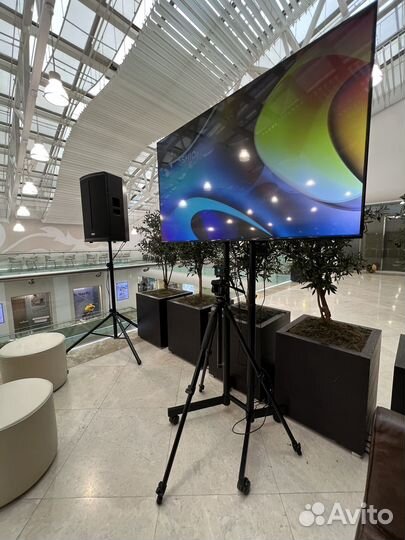 Прокат телевизора 55 дюймов на стойке