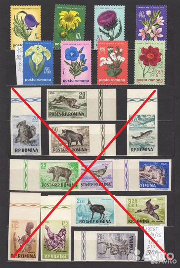 Фауна и флора Румыния.**