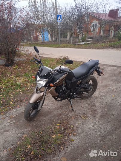 Мотоленд Бандит