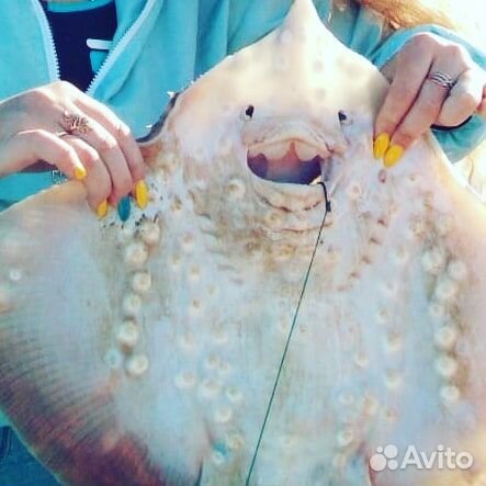 Морская рыбалка в Анапе