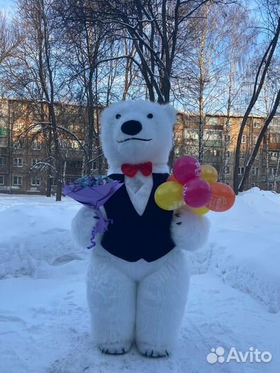 Белый мишка поздравление. Ростовая кукла