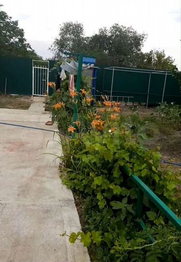 Дом 48 м² на участке 17 сот.