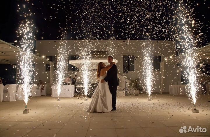 Ведущая свадьбы