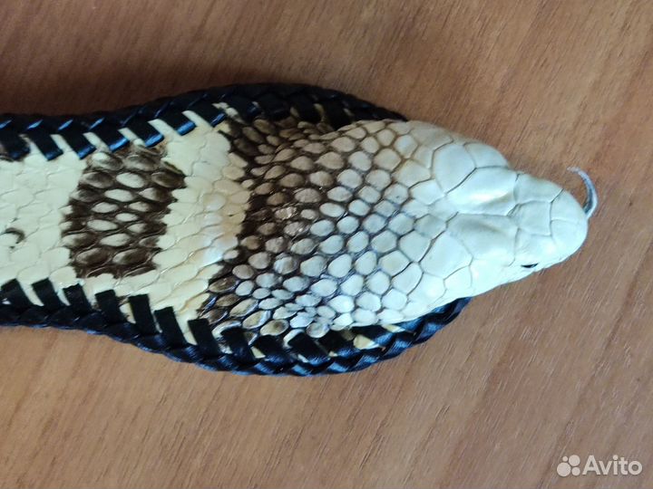 Ремень из кожи кобры