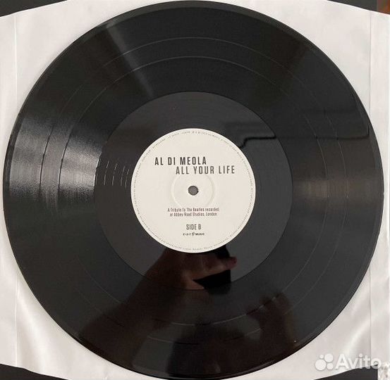 Виниловая пластинка Di Meola, Al - All Your Life: