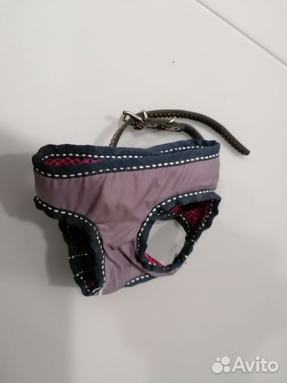 Шлейка для щенка