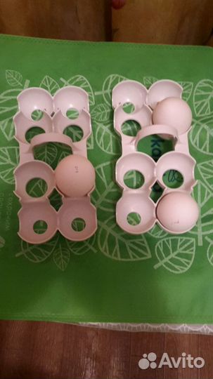 Новые-2 формы для хранения яиц в холодильнике